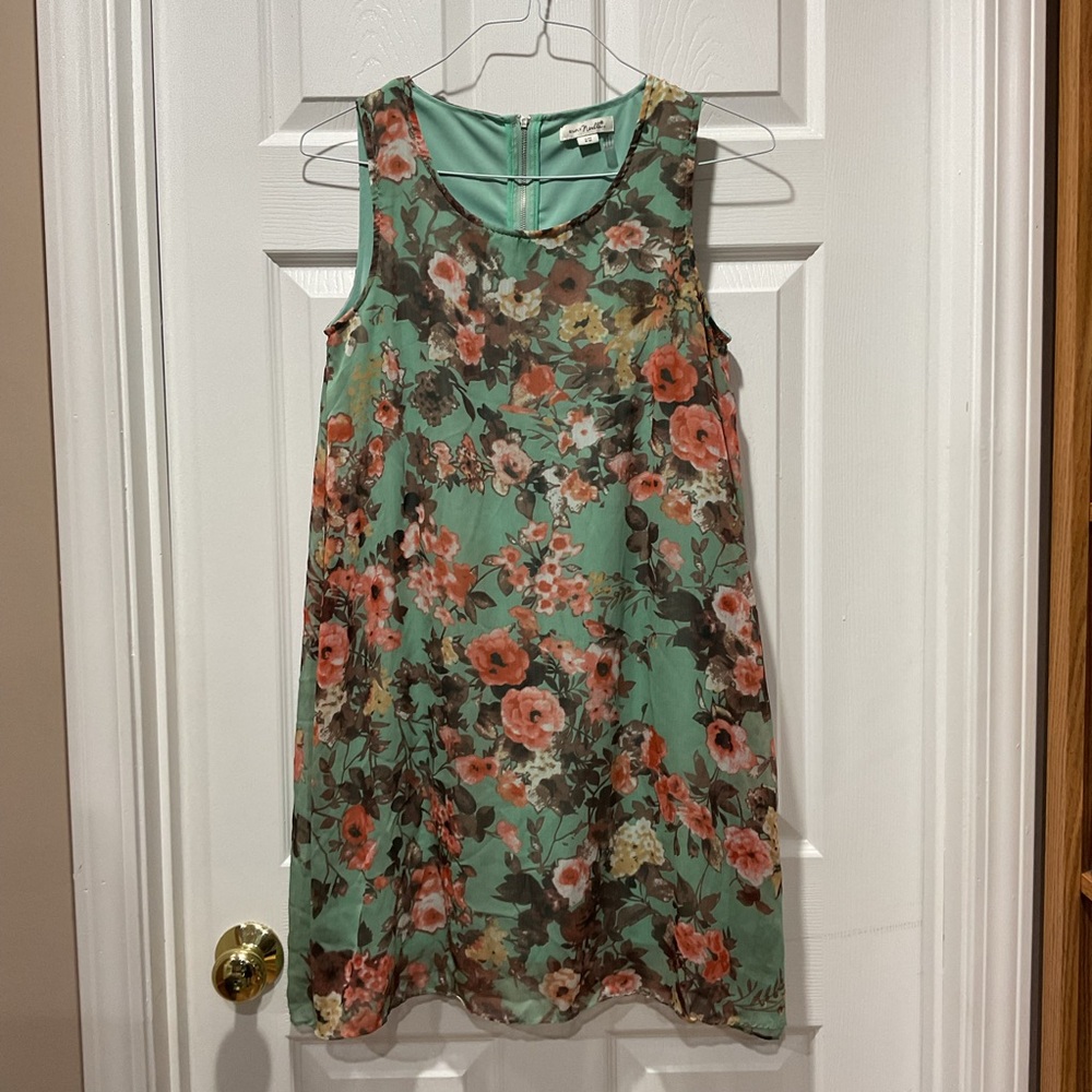 Simply Noelle Dress Mint Green Floral Sheer Chiffon with lining
